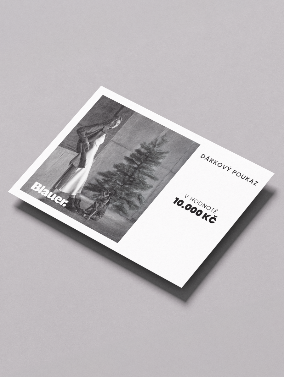 Vánoční dárkový voucher